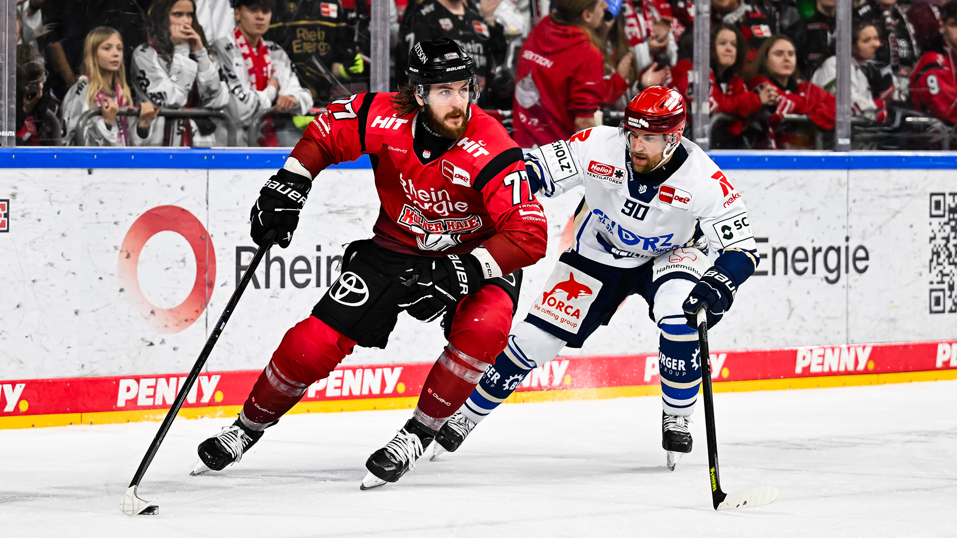 Kölner Haie gg. Schwenninger Wild Wings